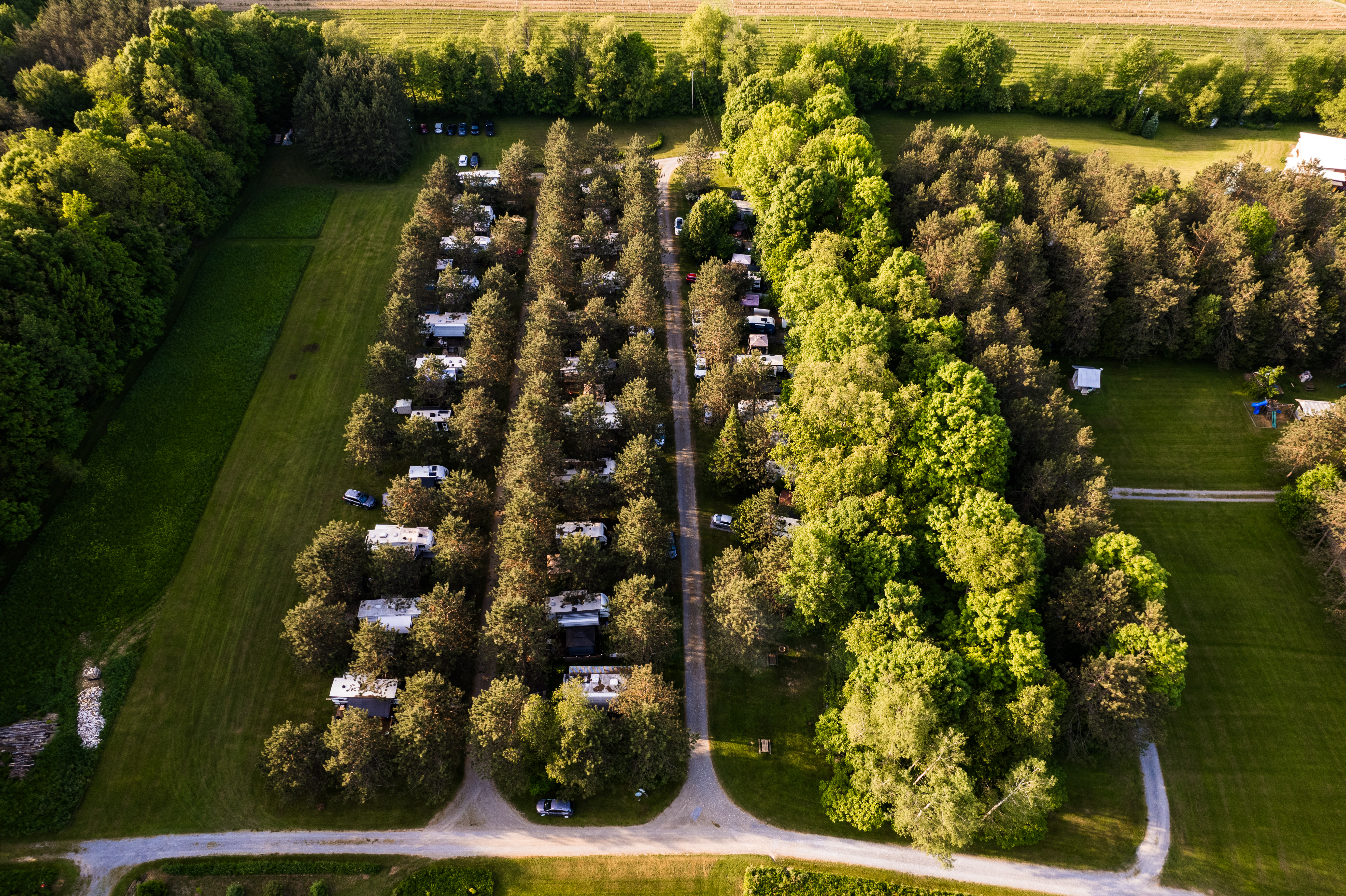 Camping Écologique de Frelighsburg — photo 3